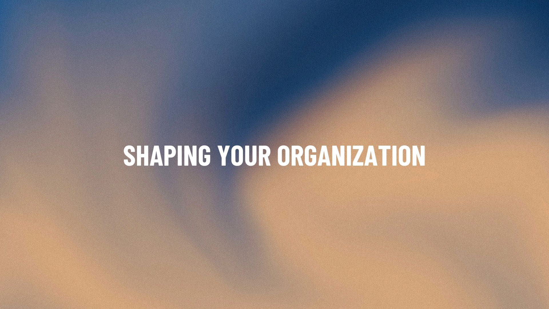 Shaping Your Organization